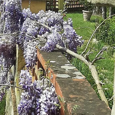 Apartment Al Ponte *